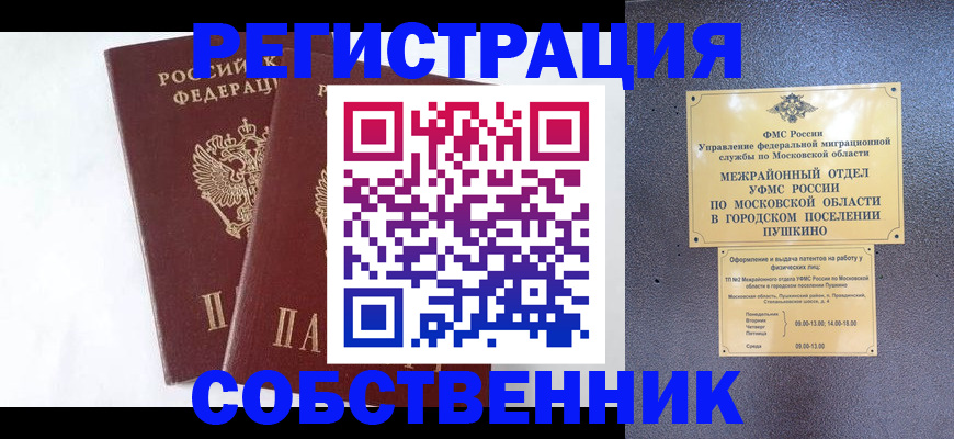 прописка поиск в Кингисеппе